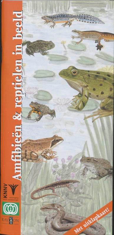 Amfibieen en reptielen in beeld / In beeld / 8 9789050111652, Livres, Loisirs & Temps libre, Envoi