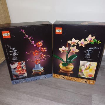 Lego Set - Botanical Collection - Plum Blossom / Mini Orchid