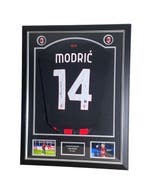 AC Milan - Ligue Européenne de Football Américain - Luka, Nieuw