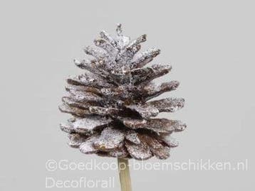Dennenappels op draad grootverpakking naturel snow doos ca., Nieuw