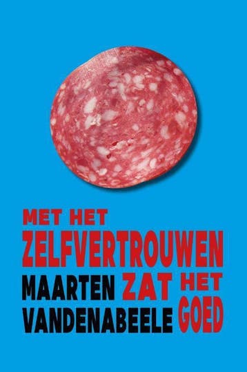 Met het zelfvertrouwen zat het goed 9789491144882, Verzenden, Gelezen, Maarten Vandenabeele