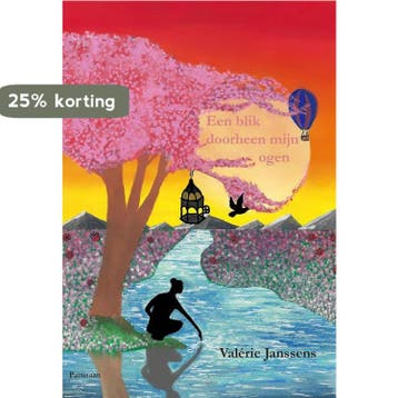 Een blik doorheen mijn ogen 9789464076158 Valérie Janssens, Verzenden, Valérie Janssens