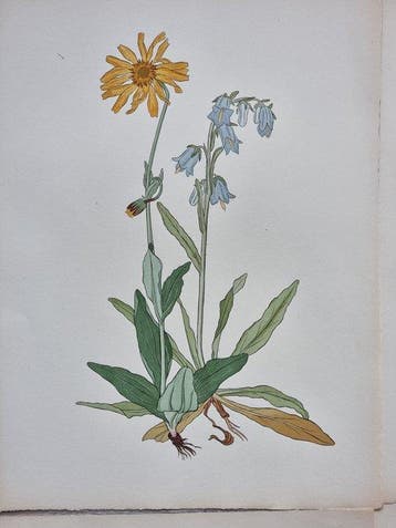 Benjamin Fawcett (1808–1893) / Alfred Francis Lydon
