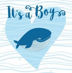 Its a boy 9789463540605 Gerd De Ley, Boeken, Verzenden, Zo goed als nieuw, Gerd De Ley