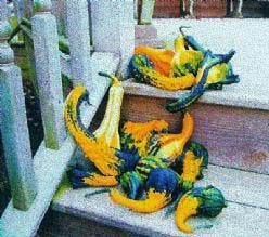 Autumn wings small kalebas basiseenheid, Hobby & Loisirs créatifs, Bricolage