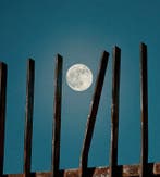 Mr Strange (XX-XXI) - December 18, 1964 at 11:16 PM