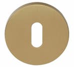 Sleutelplaatje ECLIPSE DRN53 PVD mat goud, Ophalen of Verzenden