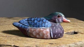 Collectie met dierenthema - Met de hand beschilderde