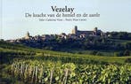 VEZELAY KRACHT VAN DE HEMEL EN DE AARDE 9789064164064, Verzenden, Zo goed als nieuw, C.J. Visser