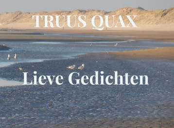 Lieve Gedichten | Truus Quax | Nieuw, Verzenden, Truus Quax