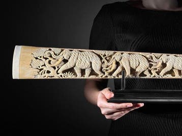 Geen reserveprijs - Grote gegraveerde zwaardvis-tand op een