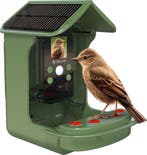 2dekans | Denver Vogelhuisje met Camera - Full HD - 12MP -, Ophalen of Verzenden, Nieuw