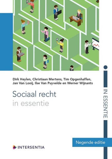 Sociaal recht in essentie / In essentie 9789400013469, Boeken, Verzenden, Zo goed als nieuw, Dirk Leysen