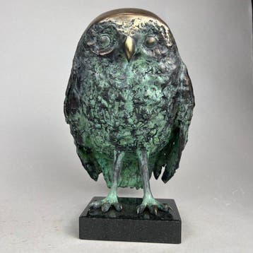J. Zak (XX-XXI) - The owl. Large, bronze, 5kg