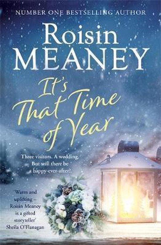 Its That Time of Year 9781529375183 Roisin Meaney, Boeken, Taal | Engels, Gelezen, Verzenden