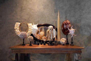 Decoratief ornament - NO RESERVE PRICE - Wonderful Pair of