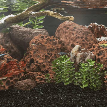 vidaXL Lavastenen 10 kg 10-30 cm rood, Dieren en Toebehoren, Verzenden, Nieuw