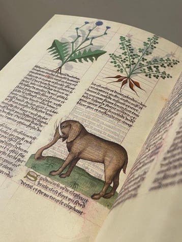 Matthaeus Platearius - Herbolaire Estense - 2008, Antiek en Kunst, Antiek | Boeken en Manuscripten