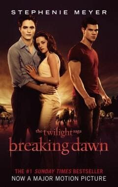 Breaking Dawn / Twilight / 4 9781907411151 Stephenie Meyer, Boeken, Verzenden, Gelezen, Stephenie Meyer