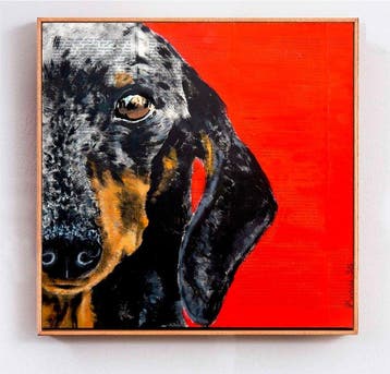 Bazévian DelaCapucinière - Portrait Introspection Dachshund