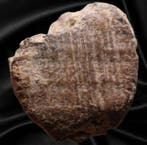 Oud-Romeins Aardewerk Tessera (Zonder minimumprijs)