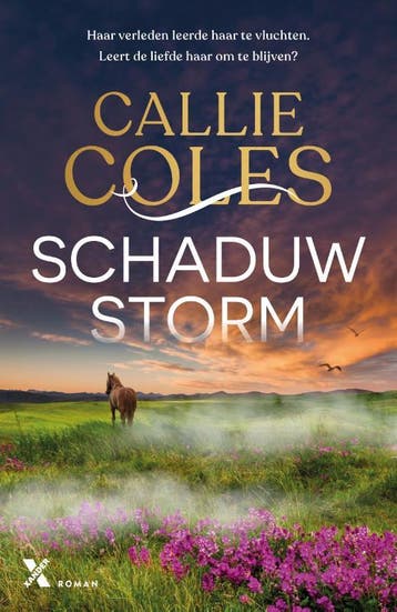 Schaduwstorm / Spinning Silks / 1 9789401626934 Callie Coles, Verzenden, Zo goed als nieuw, Callie Coles