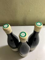 2022 Domaine Hubert Lamy Derrière Chez Edouard -