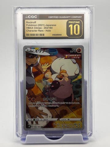 Pokémon - 9 Graded card - Rockruff, Rashiram&Charizard,, Hobby & Loisirs créatifs, Jeux de cartes à collectionner | Pokémon