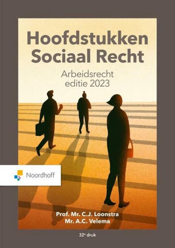 Hoofdstukken sociaal recht / 2023 9789001077327, Boeken, Verzenden, Gelezen, C.J. Loonstra