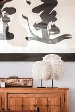 PAS DE PRIX DE RÉSERVE - Époustouflante carapace de tortue à