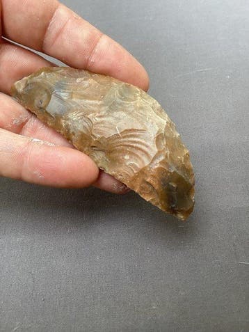 laat Neolithicum silex Sikkel - 95 cm (Zonder minimumprijs)
