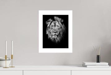 Jeffrey Van Daele - King of Shadows