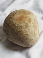 André Cazenave - Lampe - galet - fibre optique - Lampe Galet