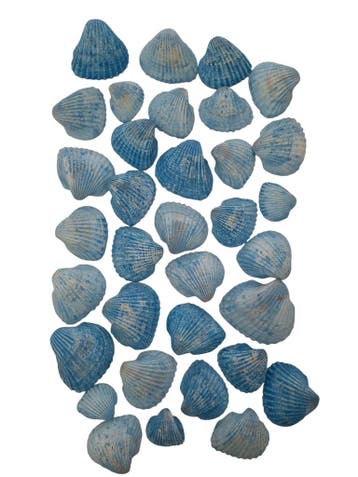 White Chippy Schelpen Blauw 500 gram, Nieuw