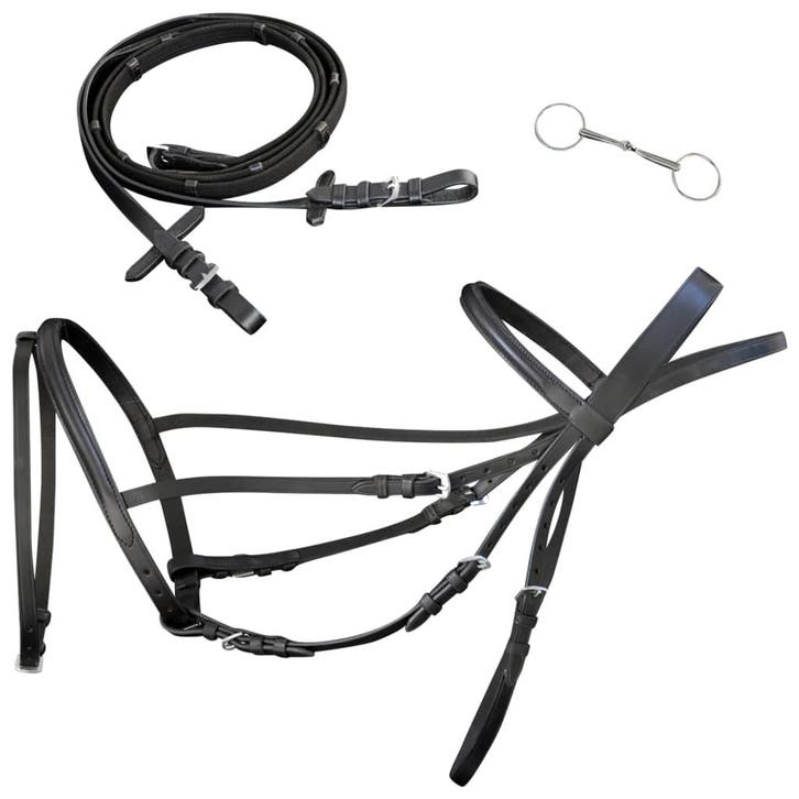 vidaXL Hoofdstel leer met gecombineerde neusriem, teugels en, Animaux & Accessoires, Chevaux & Poneys | Autres trucs de cheval