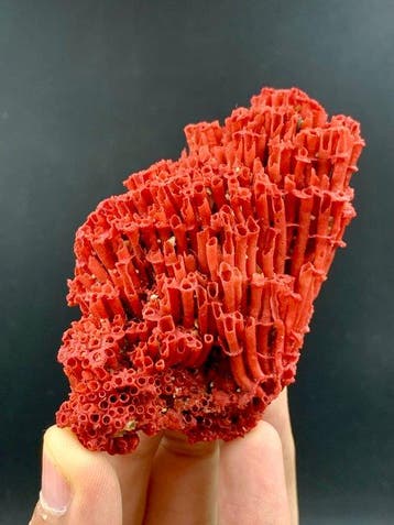 Rood koraal specimen Kristalen - Hoogte: 72 mm - Breedte: 45, Verzamelen