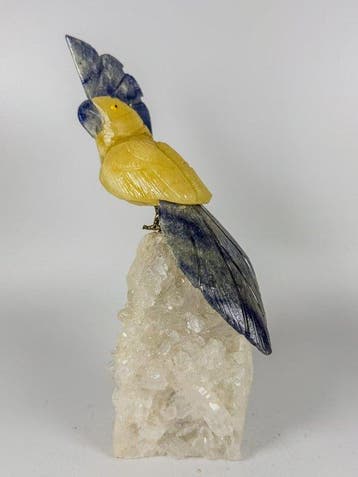 NO RESERVE PRICE - rare piece - Handgesneden gele papegaai