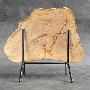 Prachtige plak versteend hout op een op maat gemaakte