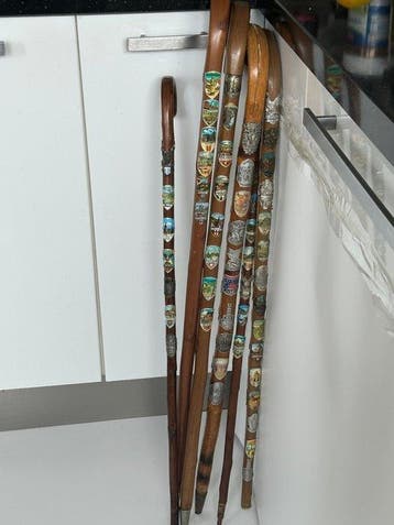 Zes Wandelstokken Met 72 x Schildjes Wandelstok (6) -