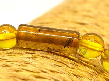 Prehistorische capsule - Natuurlijk Baltisch barnsteen, Antiek en Kunst