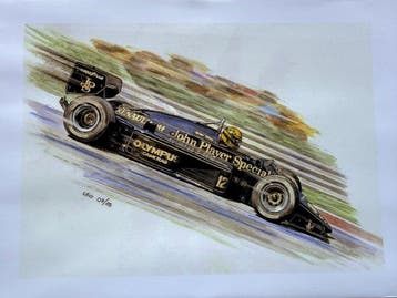 Ayrton Senna - Beperkte editie - Iconische autos