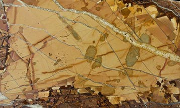 Pietra Paesina - gesneden en gepolijste plak van Ruin Marble