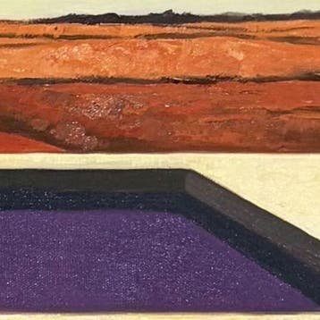 Billy - traveller new horizon desert