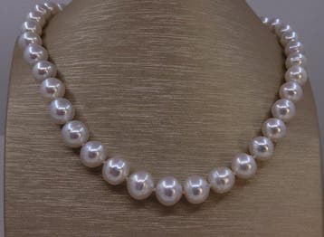 Sans prix de réserve - Collier Perles de Mer du Sud, Nieuw