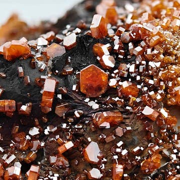 Kerstboom van rode vanadinite op goethiet 100+ Kristallen op, Verzamelen
