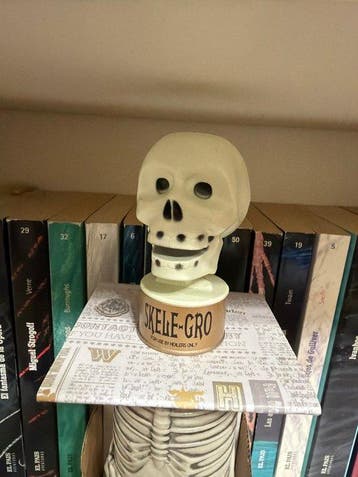 Harry Potter - Warner Bros., Nieuw