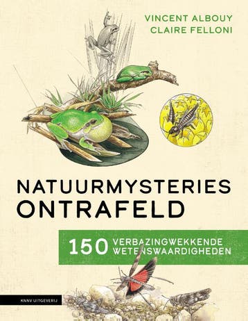Natuurmysteries Ontrafeld | Vincent Albouy | Nieuw, Verzenden, Nieuw, Vincent Albouy