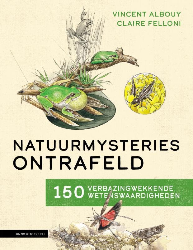 Natuurmysteries Ontrafeld | Vincent Albouy | Nieuw, Boeken, Overige Boeken, Nieuw, Verzenden
