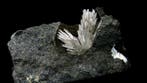 Aragoniet in basaltische geode - Curebourse,, Collections