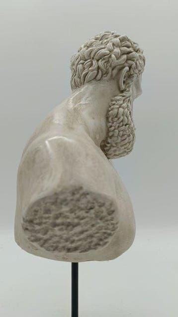 sculptuur, Busto dellercole farnese - 35 cm - marmerpoeder